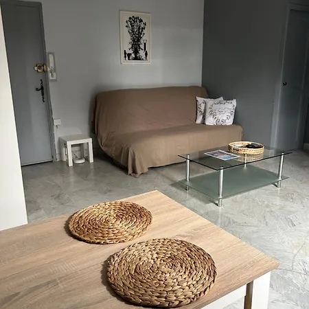 Le De Simon Au Pied De La Cite 카르카손