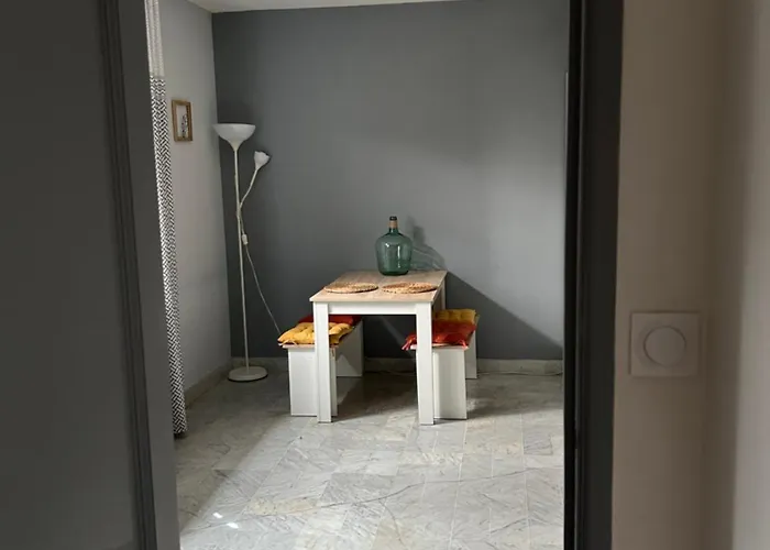 Le De Simon Au Pied De La Cité Carcasona