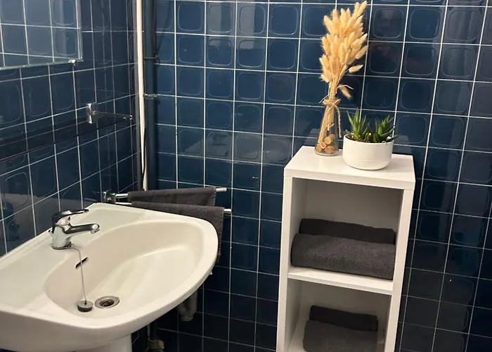 Le De Simon Au Pied De La Cite Apartment Carcassonne