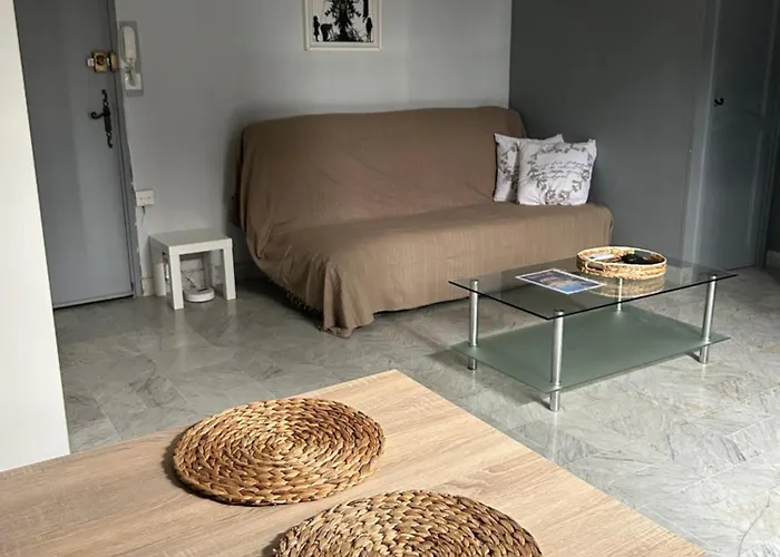 Le De Simon Au Pied De La Cité Carcasona